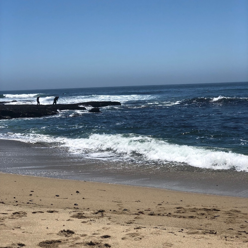 Meet your Posher, Celene